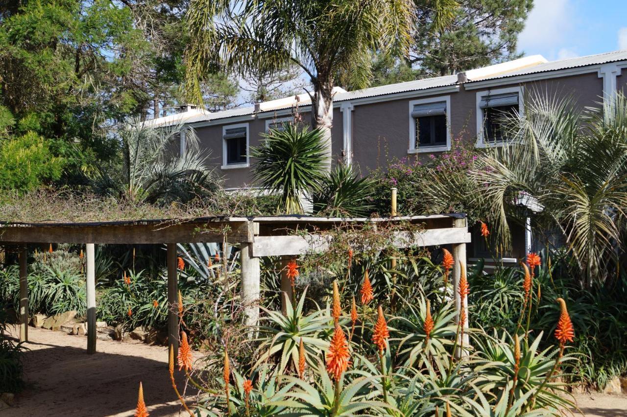 Posada Del Corumba 라 팔로마 외부 사진